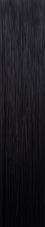 Jet Black hair sample