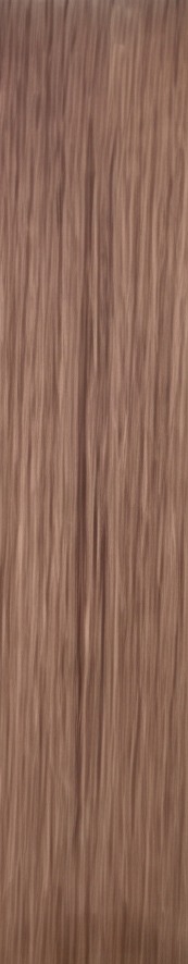 Ash Blonde hair sample