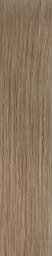 Light Ash Blonde hair sample