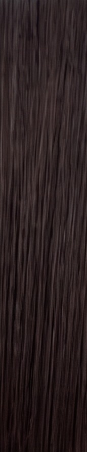 Darkest Brown hair sample