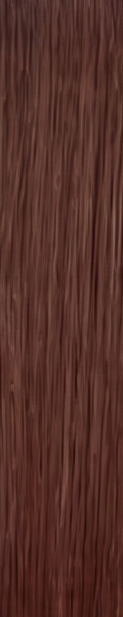 Dark Auburn hair sample