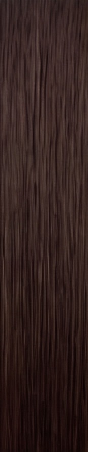 Dark Brown hair sample