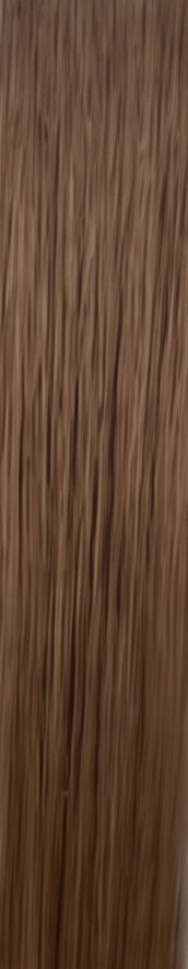 Light Brown hair sample