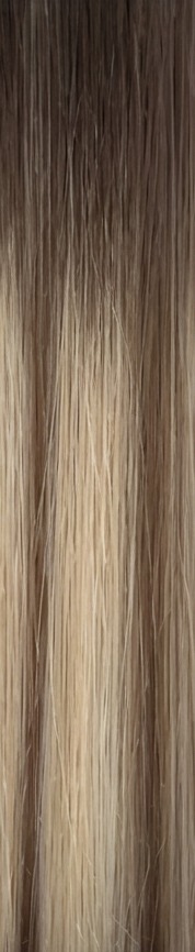 Ash Blonde hair sample