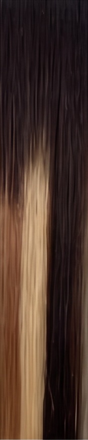 Cocoa hair sample