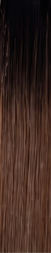 Mocha hair sample
