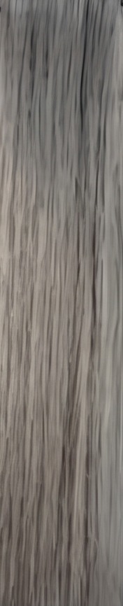 Salt & Pepper hair sample