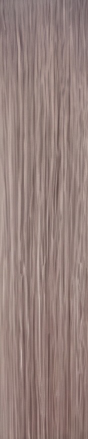 Silver hair sample